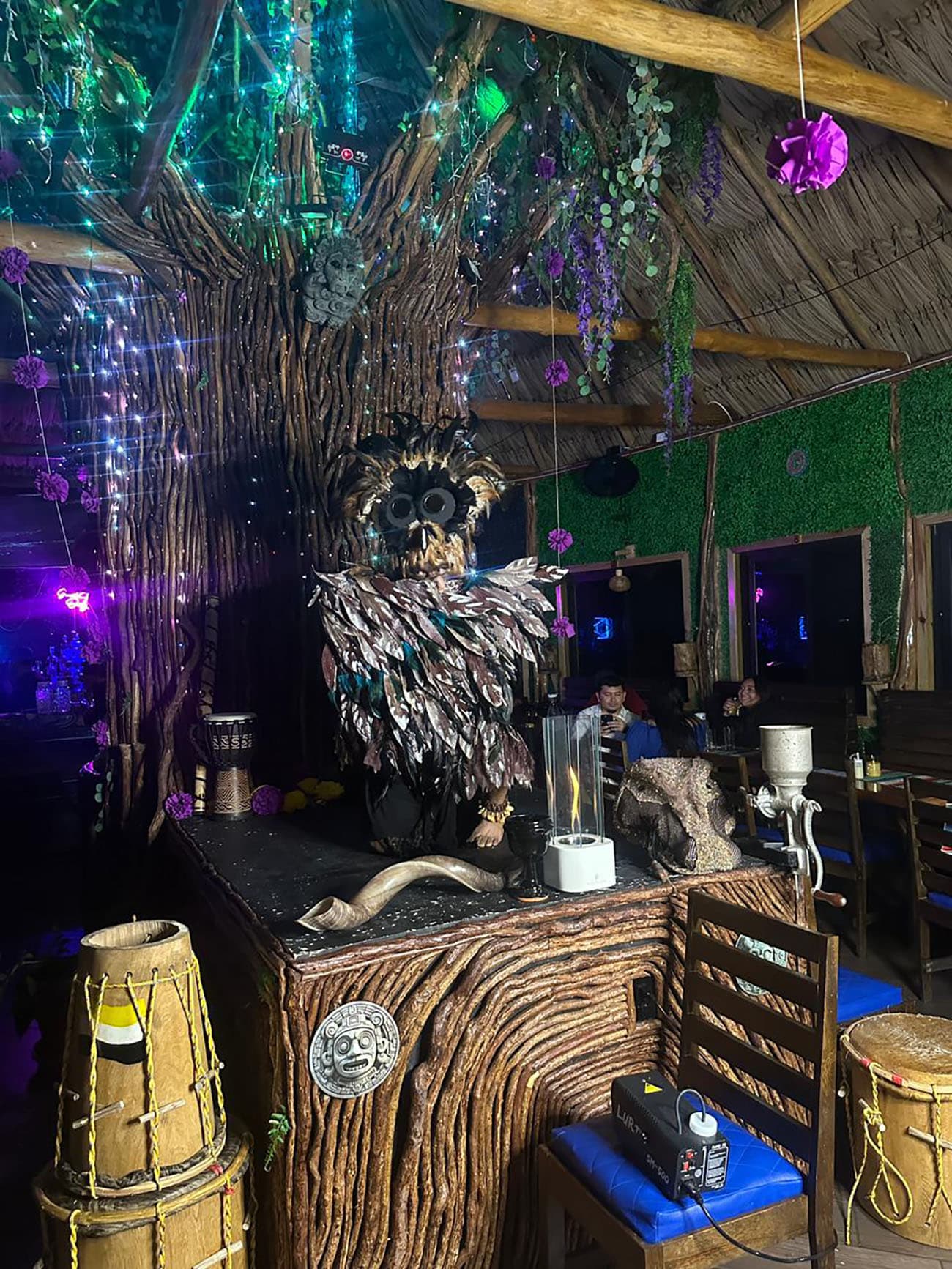 Maya Cacao Experience